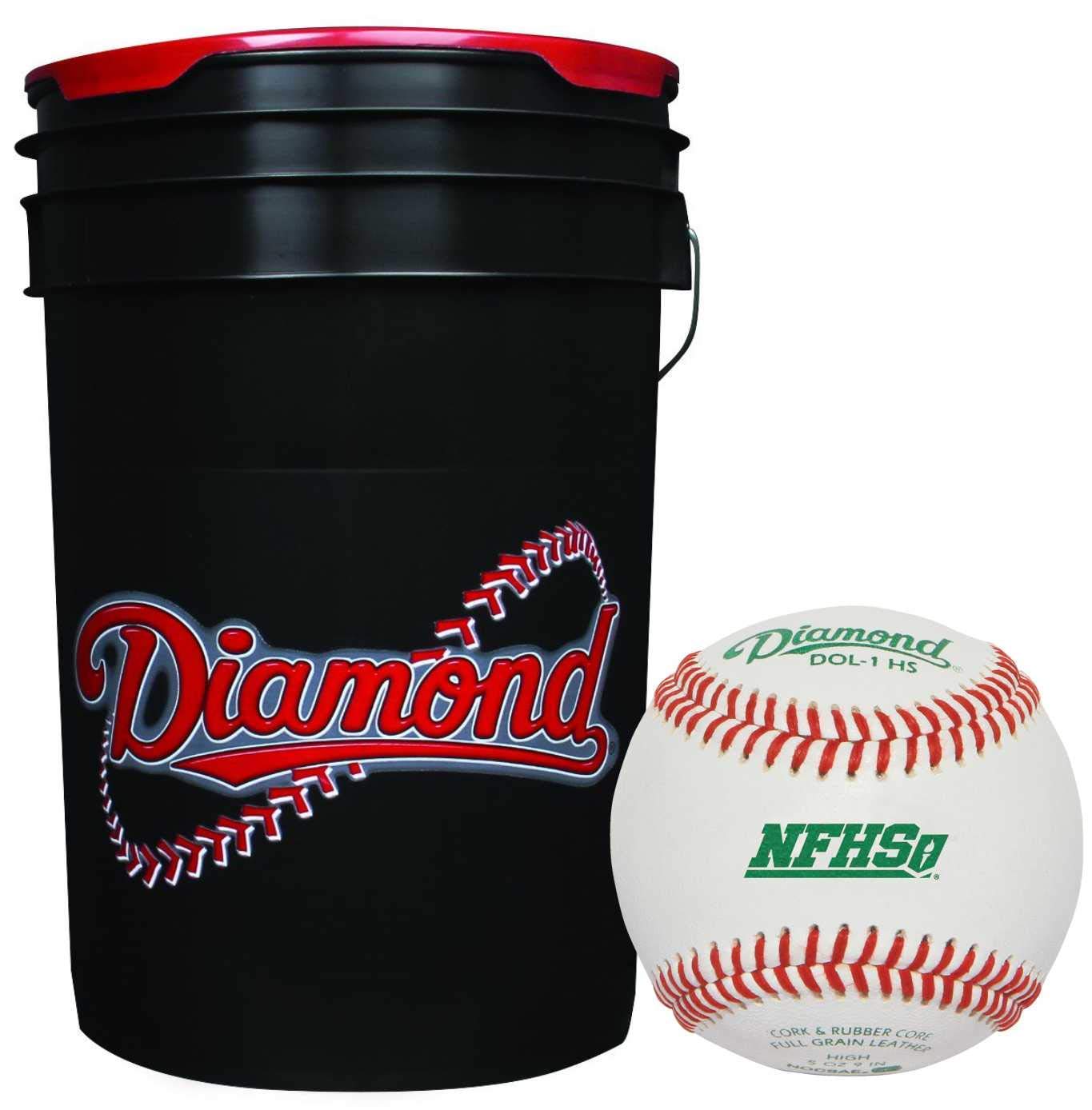Leather Baseballs with 6-Gallon Bucket 60-Pack
