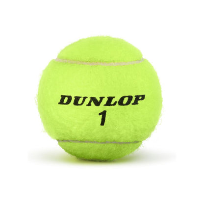 Championship Extra Duty Tennis Balls 72-Pack
