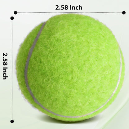 80-Pack Training Tennis Balls with Mesh Carry Bag