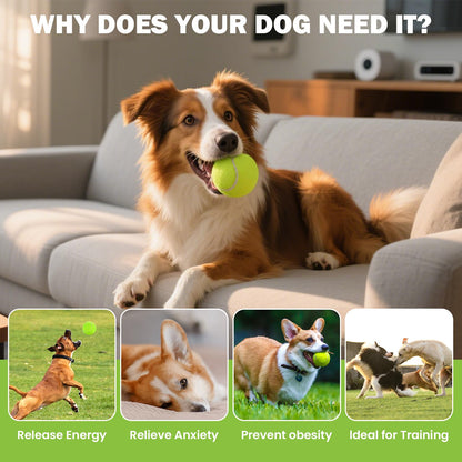 80-Pack Training Tennis Balls with Mesh Carry Bag