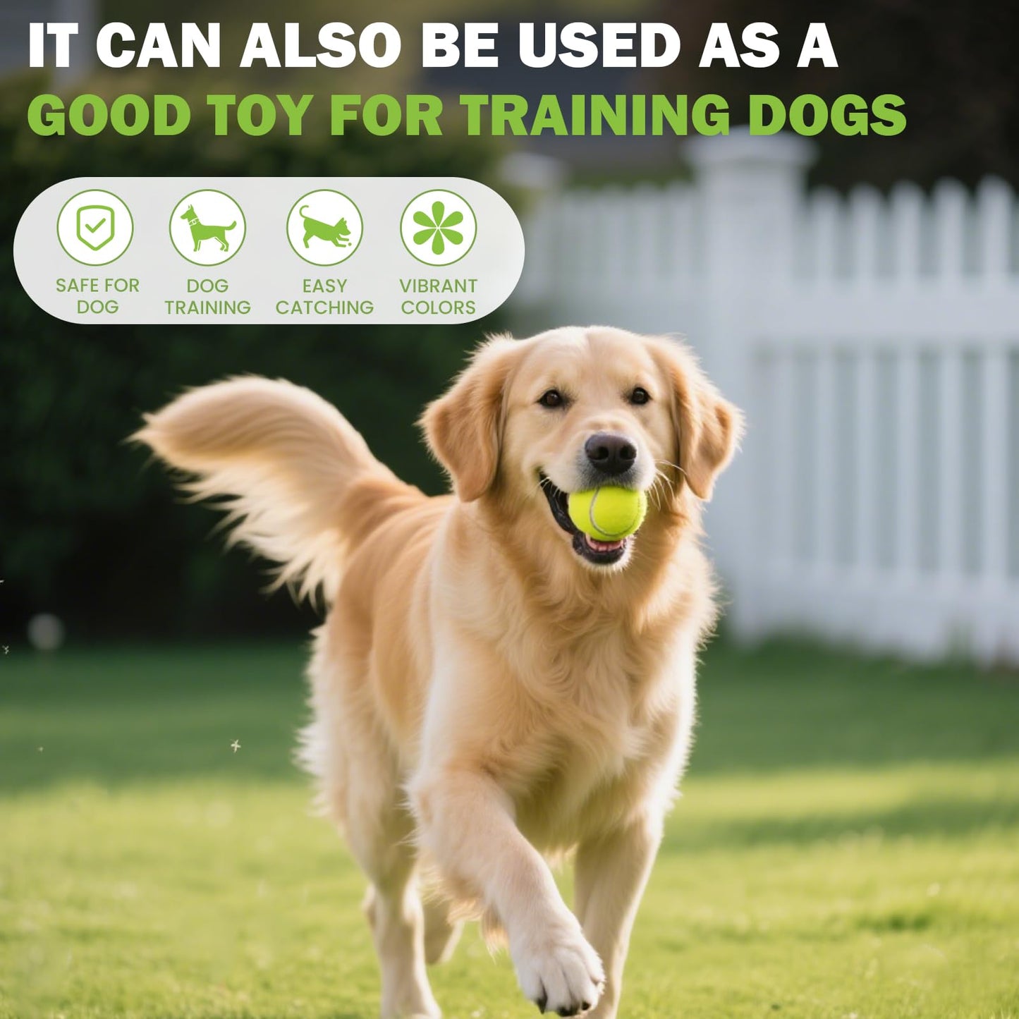 80-Pack Training Tennis Balls with Mesh Carry Bag